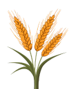 bakul