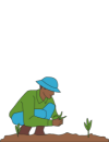 bakul