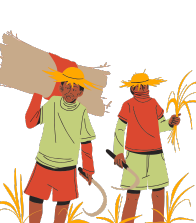 bakul